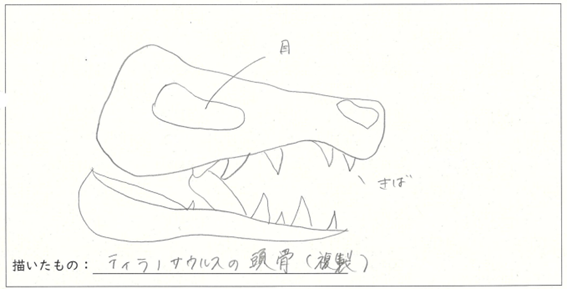 ほるる優秀スケッチ　1.2年④